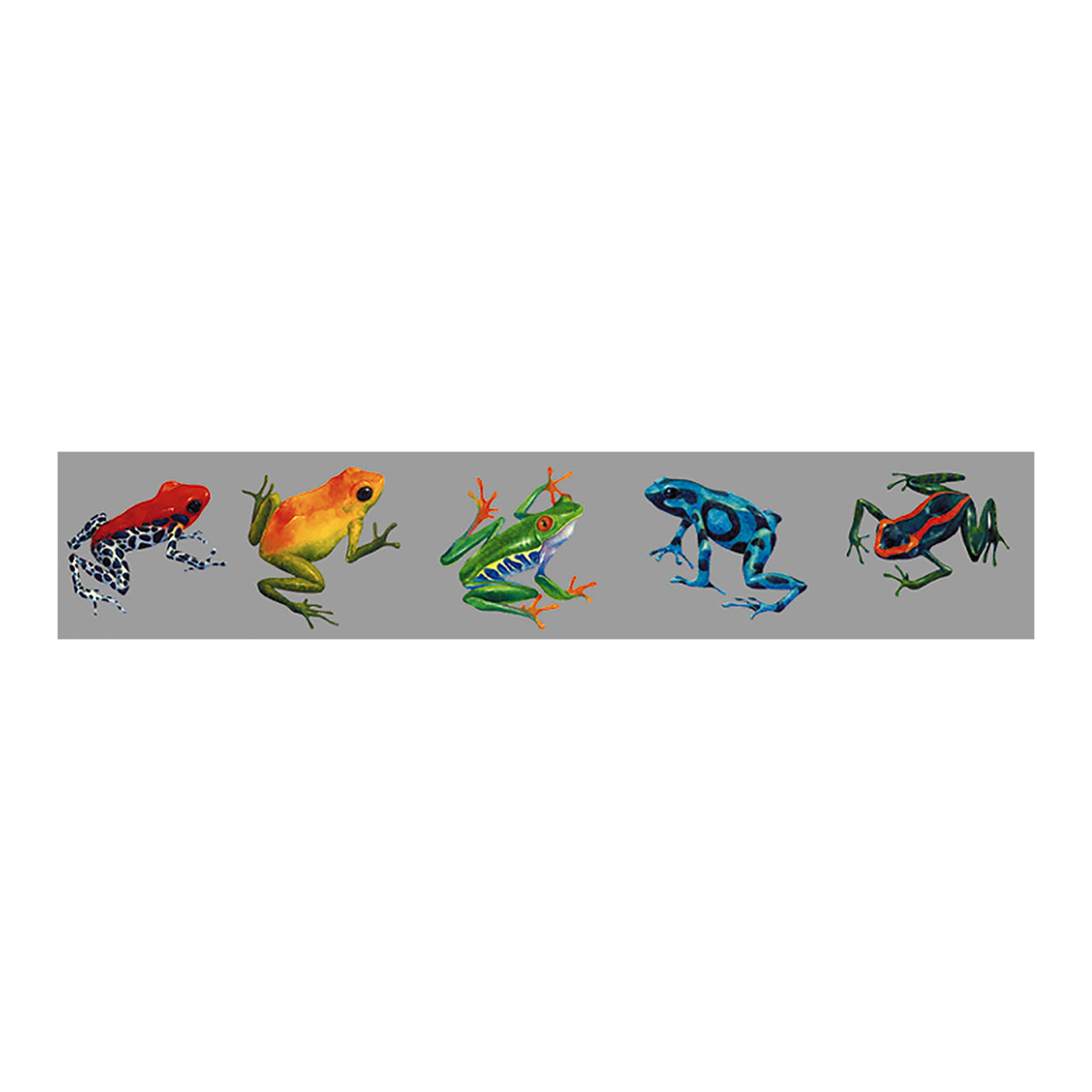 Frogs Of The Rainforest Sticker