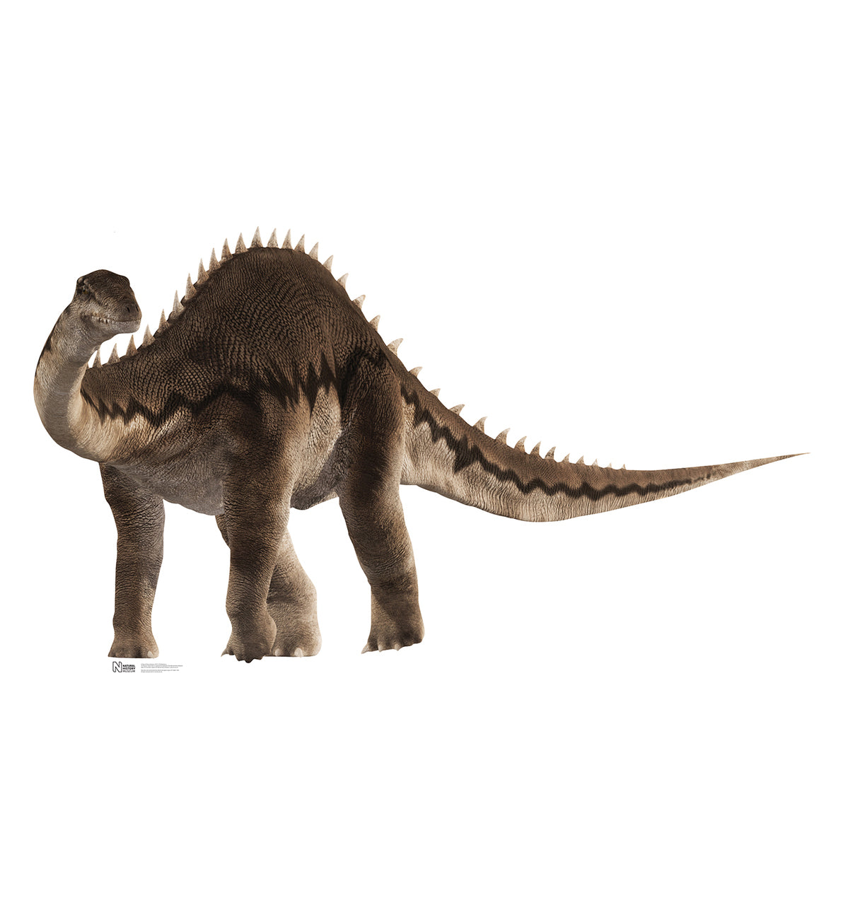 Diplodocus - Cardboard Cutout