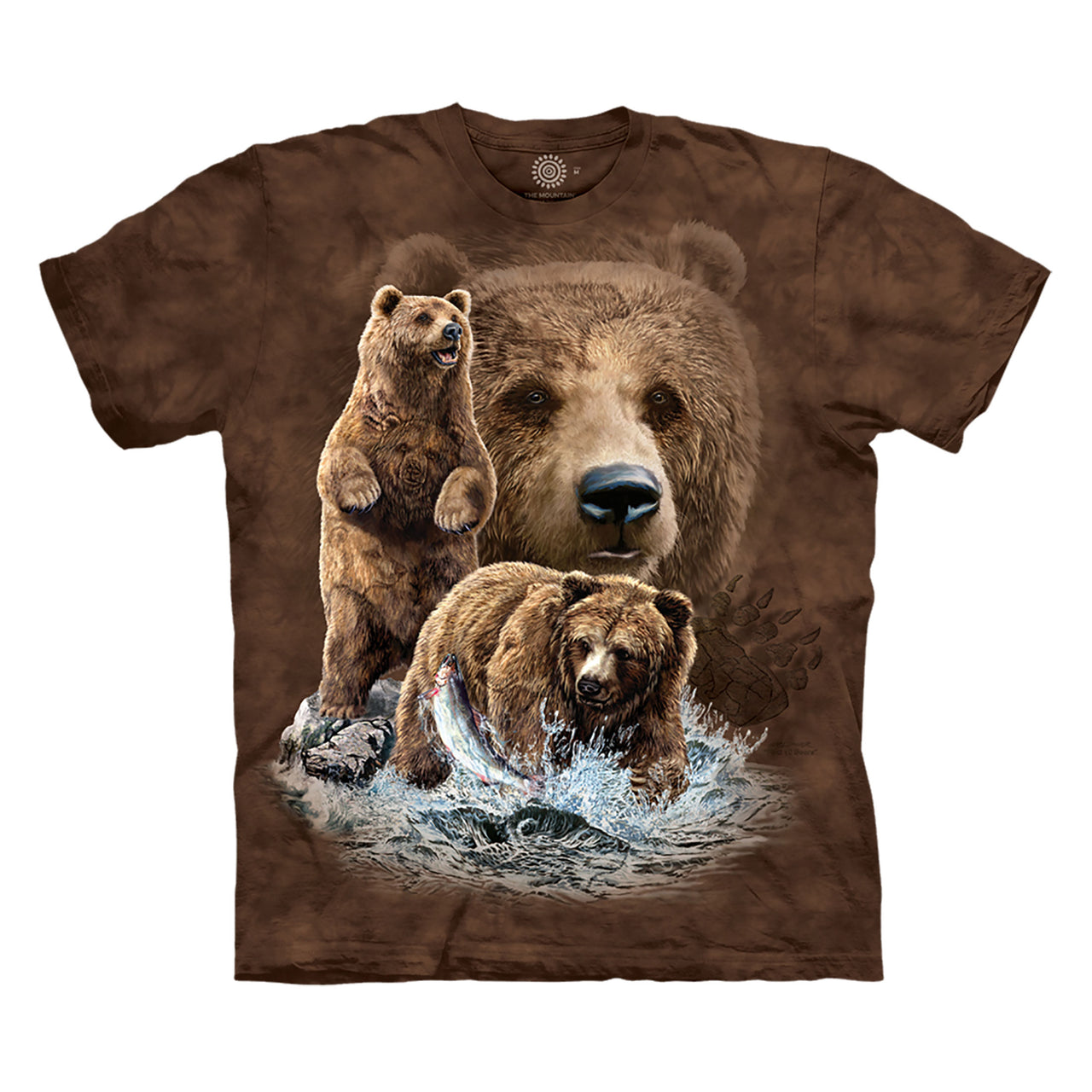 FIND 10 BROWN BEARS T-SHIRT