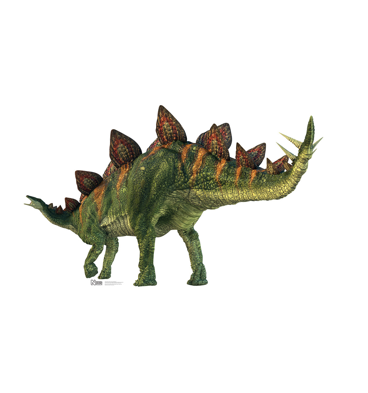 Stegosaurus - Cardboard Cutout