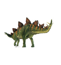 Thumbnail for Stegosaurus - Cardboard Cutout
