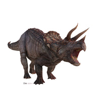 Thumbnail for Triceratops Cardboard Cutout