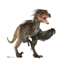 Thumbnail for Velociraptor - Cardboard Cutout