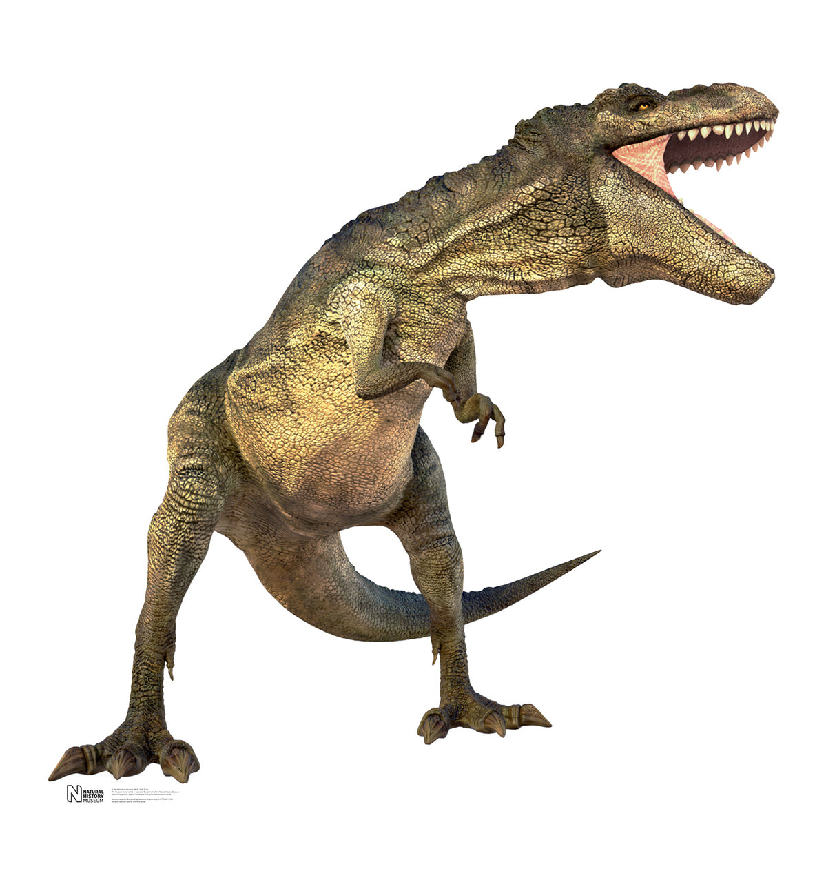 T. Rex - Cardboard Cutout 1041