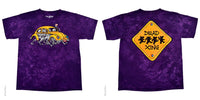 Thumbnail for Grateful Dead Bug Truckin' Tie-Dye T-Shirt