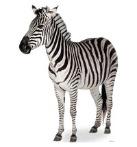 Thumbnail for Life-size Zebra Cardboard Standup