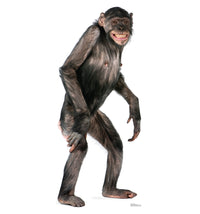 Thumbnail for Chimpanzee Cardboard Cutout