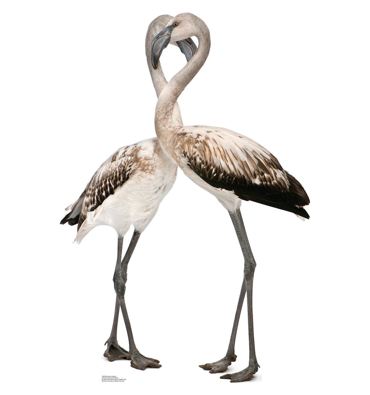 Flamingos - Love Birds Cardboard Cutout