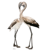 Thumbnail for Flamingos - Love Birds Cardboard Cutout