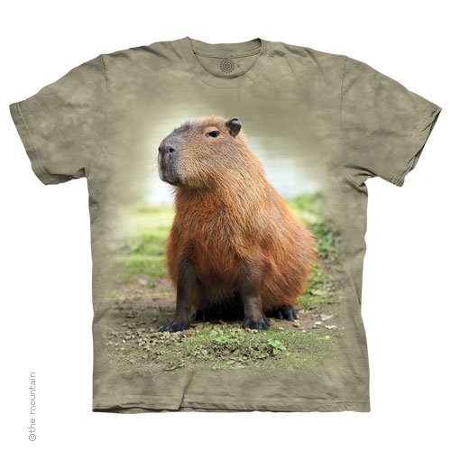 Capybara Youth T-Shirt