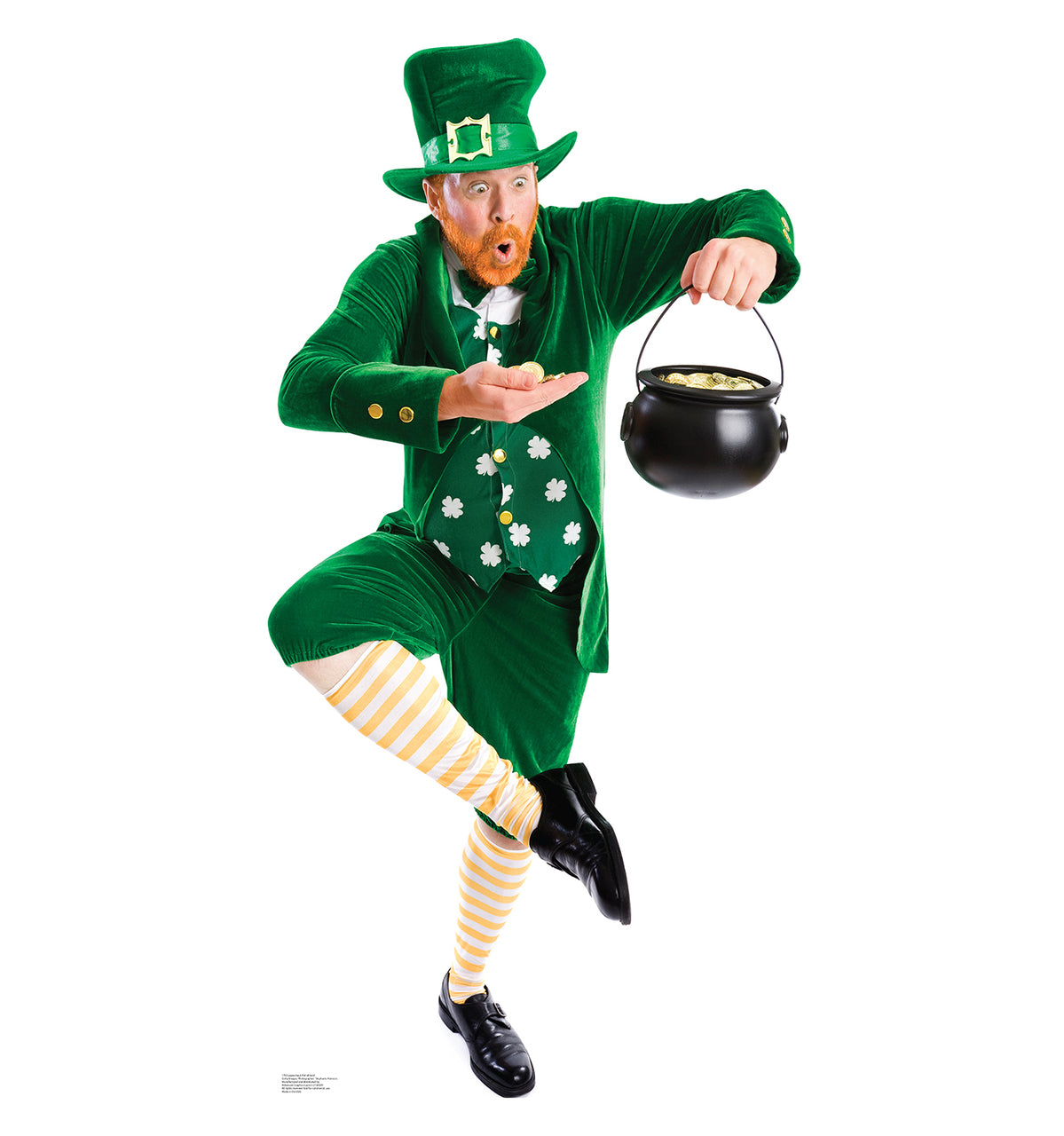Life-size Leprechaun Pot of Gold Cardboard Cutout