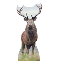 Thumbnail for Life-size Elk Cardboard Cutout
