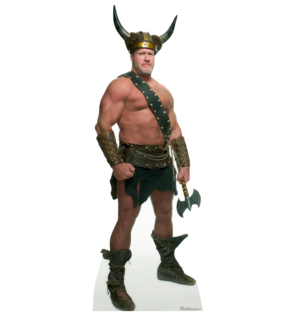 Viking Cardboard Cutout