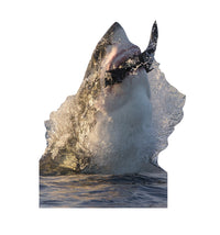 Thumbnail for Life-size Great White Shark Cardboard Cutout