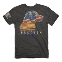 Thumbnail for Freedom Lab