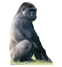 Thumbnail for Life-size Silverback Gorilla Cardboard Cutout
