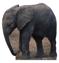 Thumbnail for Baby Elephant Cardboard Cutout