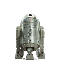 Thumbnail for Life-size R2-BHD (Rogue One) Cardboard Cutout