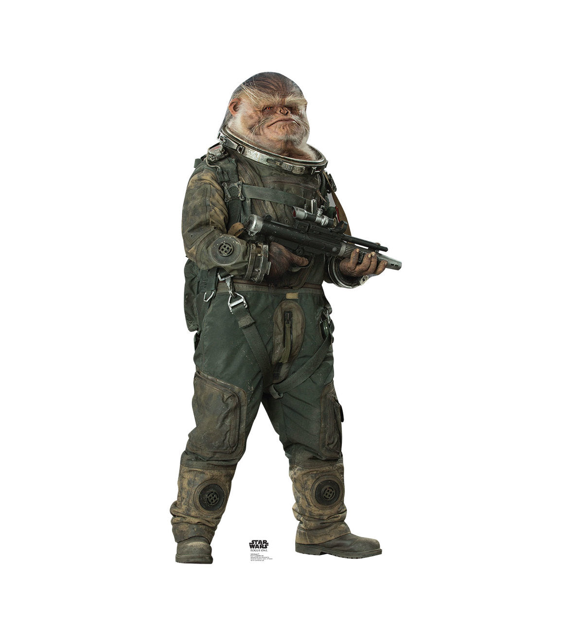 Life-size Bistan Rogue One Cardboard Cutout