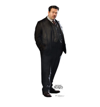 Thumbnail for Life-size Jacob Kowalski (Fantastic Beast) Cardboard Cutout