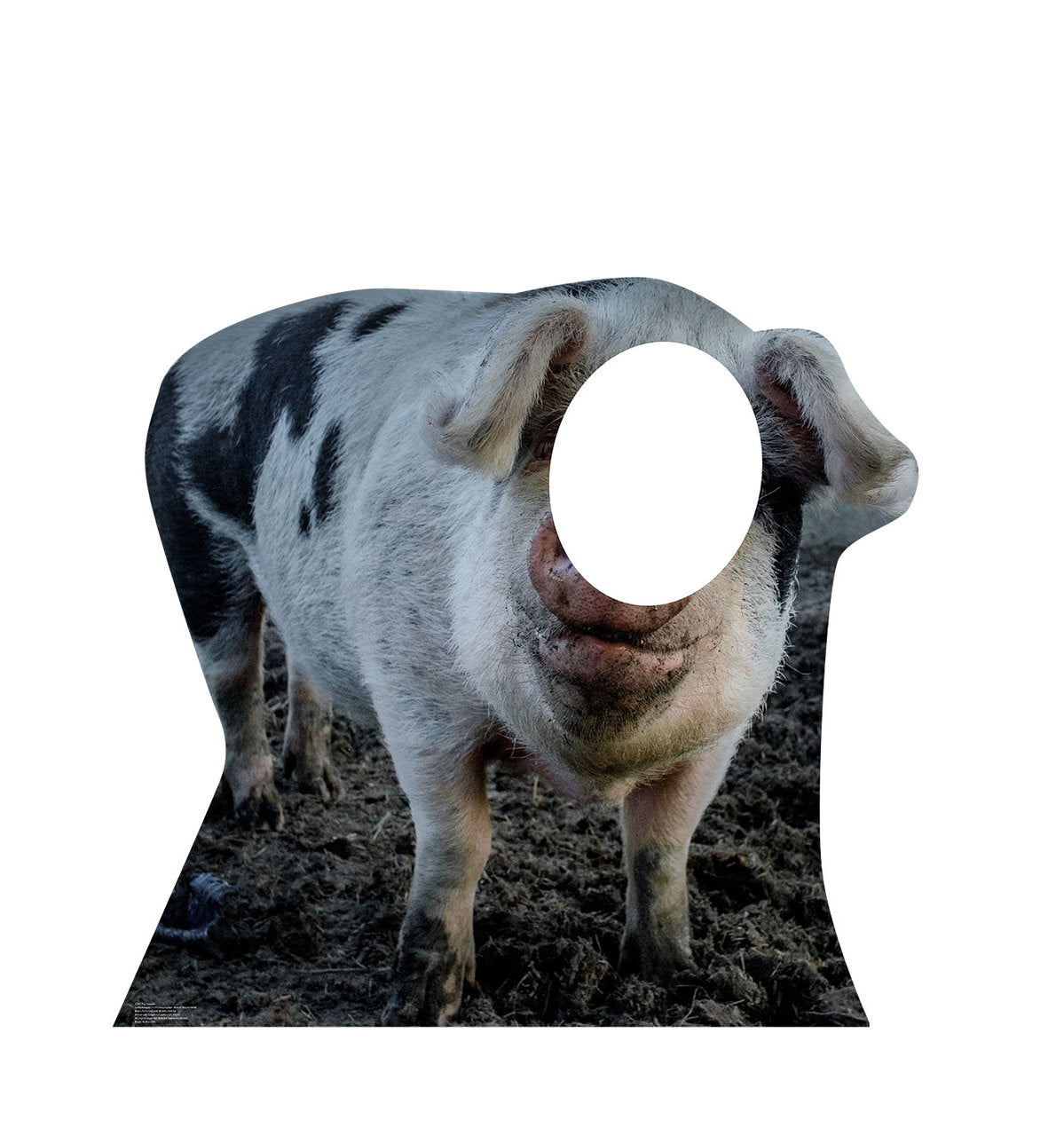 Pig Stand-In Cardboard Cutout