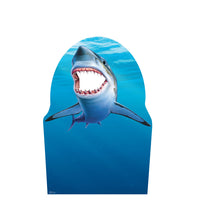 Thumbnail for Shark Stand-In