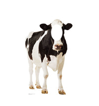 Thumbnail for Life-size Cow Stand-In Cardboard Cutout
