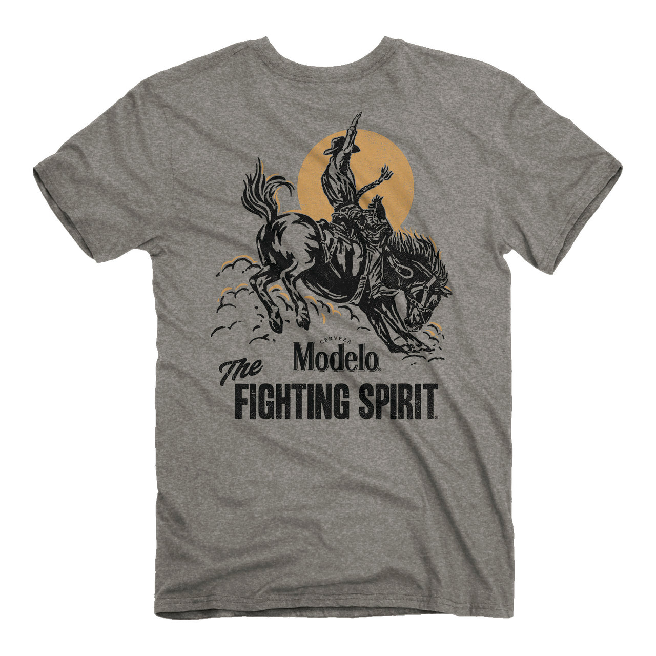 Modelo Fighting Spirit Bronco