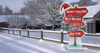 Thumbnail for Life-Size Holiday Directional Yard Sign Outdoor Yard Sign