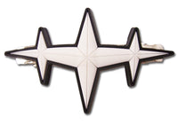 Thumbnail for KILL LA KILL 3 STAR GOKU HAIR CLIP