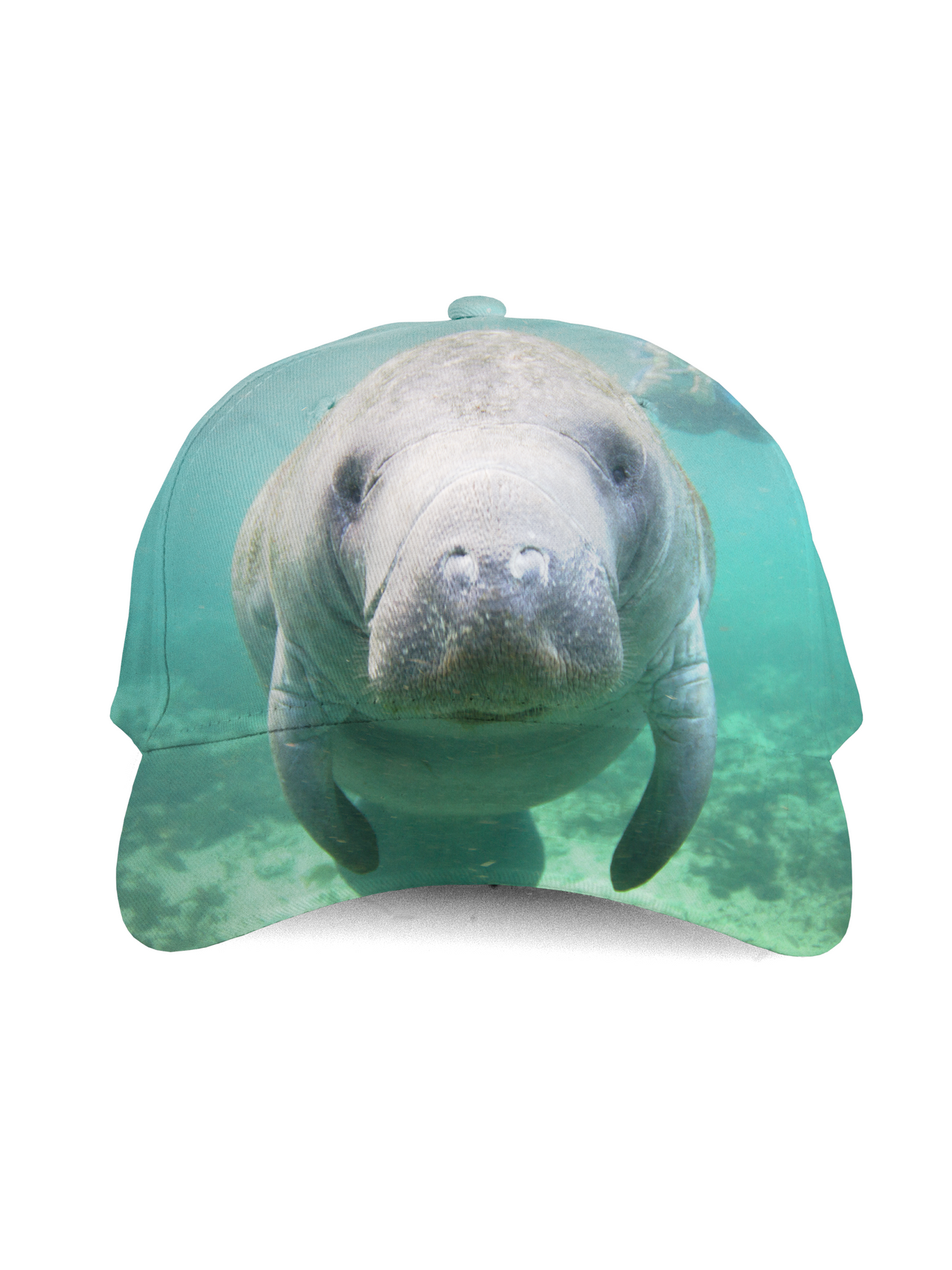 BRIEF INSANITY Manatee Kids Cap