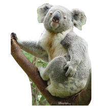 Thumbnail for Koala Bear - Cardboard Cutout