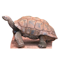 Thumbnail for Tortoise Cardboard Cutout