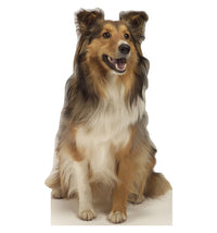 Thumbnail for Collie Dog - Cardboard Cutout