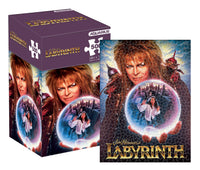 Thumbnail for Labyrinth One Sheet 500 Piece Jigsaw Puzzle (Vertical Box) – 3 PC PPK