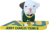 Thumbnail for Arkansas Tech Live Mascot Bobblehead