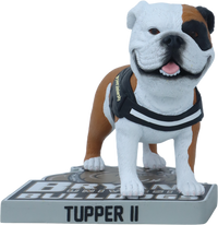 Thumbnail for Bryant Live Mascot Bobblehead