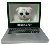 Thumbnail for Zoom Cat Eyes Forward Bobblehead