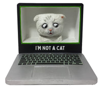 Thumbnail for Zoom Cat Eyes Looking Down Bobblehead
