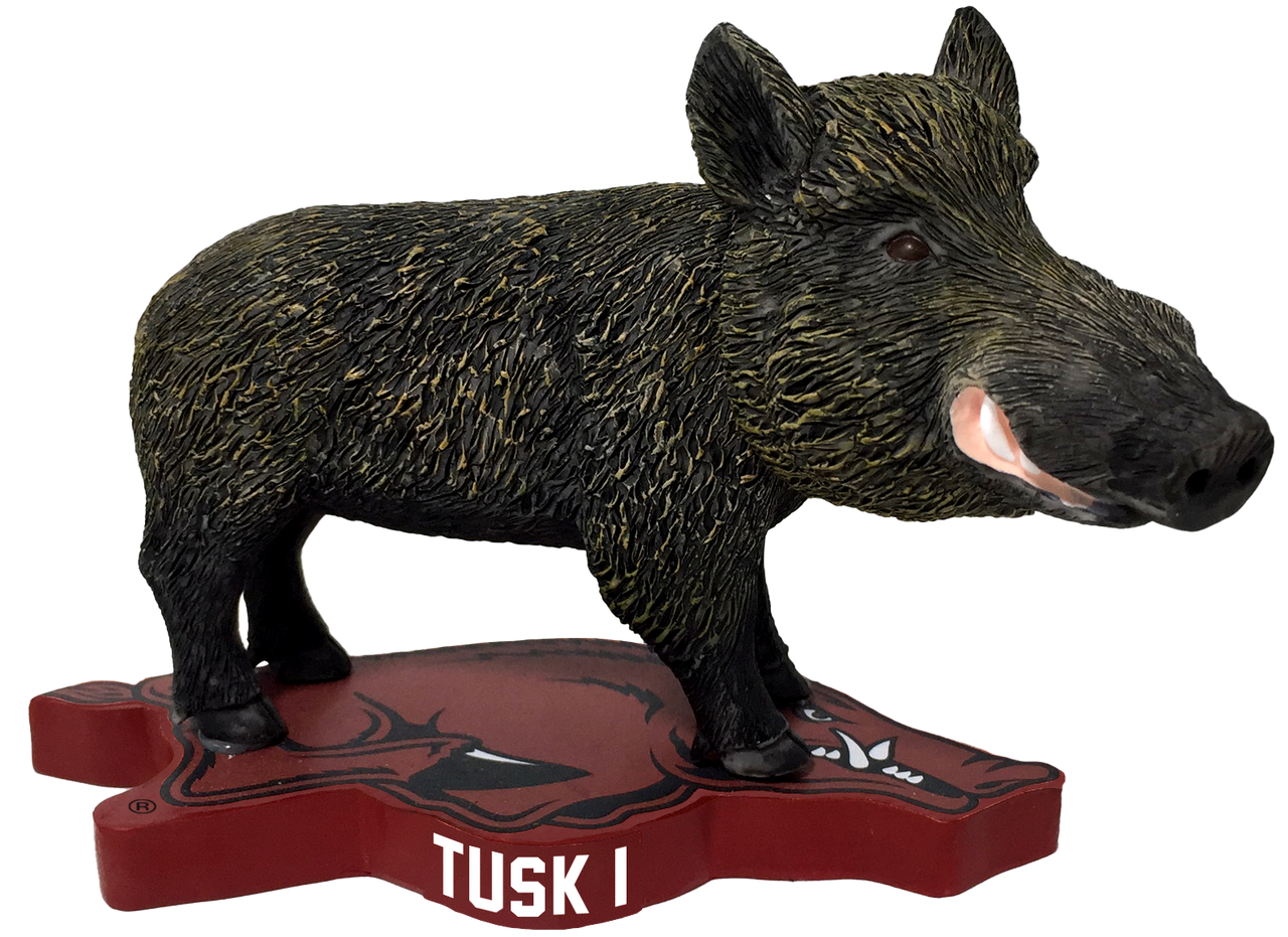 Arkansas Live Mascot - Tusk I Bobblehead