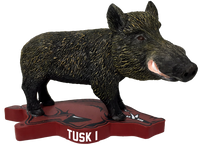 Thumbnail for Arkansas Live Mascot - Tusk I Bobblehead