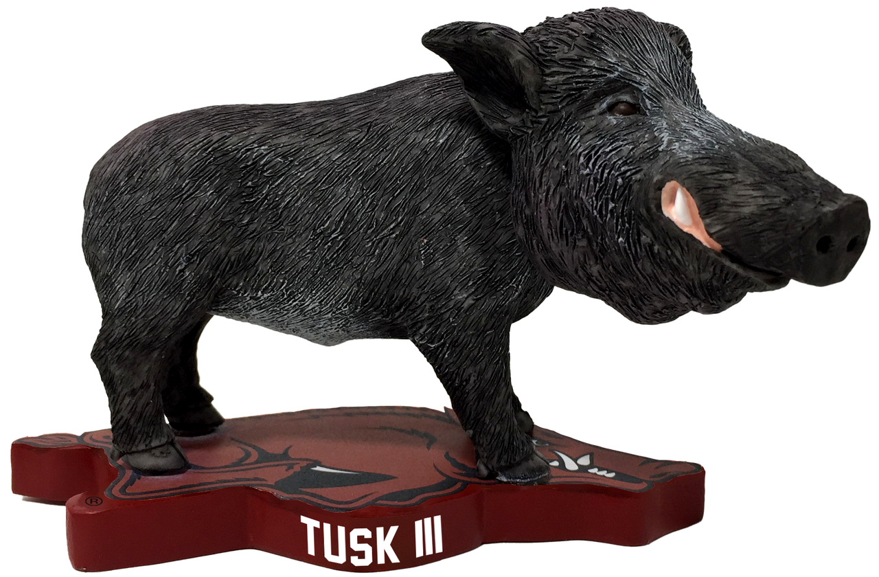 Arkansas Live Mascot - Tusk III Bobblehead