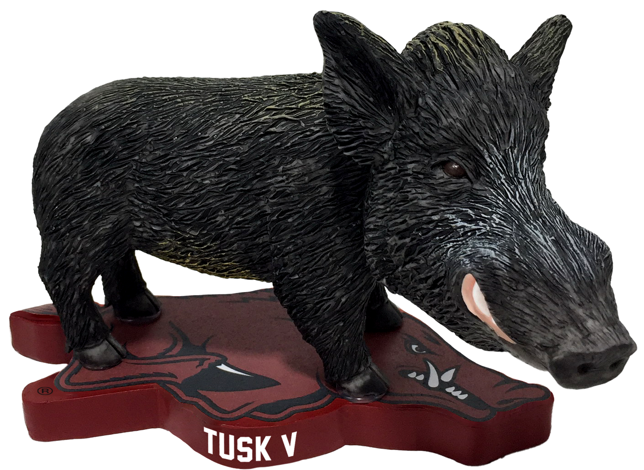 Arkansas Live Mascot - Tusk V Bobblehead