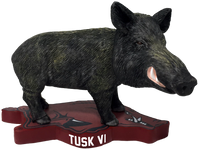 Thumbnail for Arkansas Live Mascot - Tusk VI Bobblehead