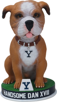 Thumbnail for Yale University Handsome Dan XVIII Bobblehead