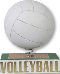Thumbnail for Volleyball Sports Ball Series Bobble