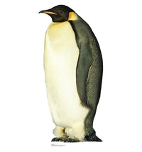 Thumbnail for Life-size King Penguin Cardboard Cutout