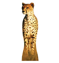 Thumbnail for Cheetah Cardboard Cutout