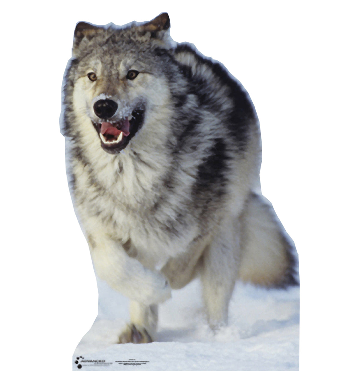 Life-size Wolf Cardboard Cutout