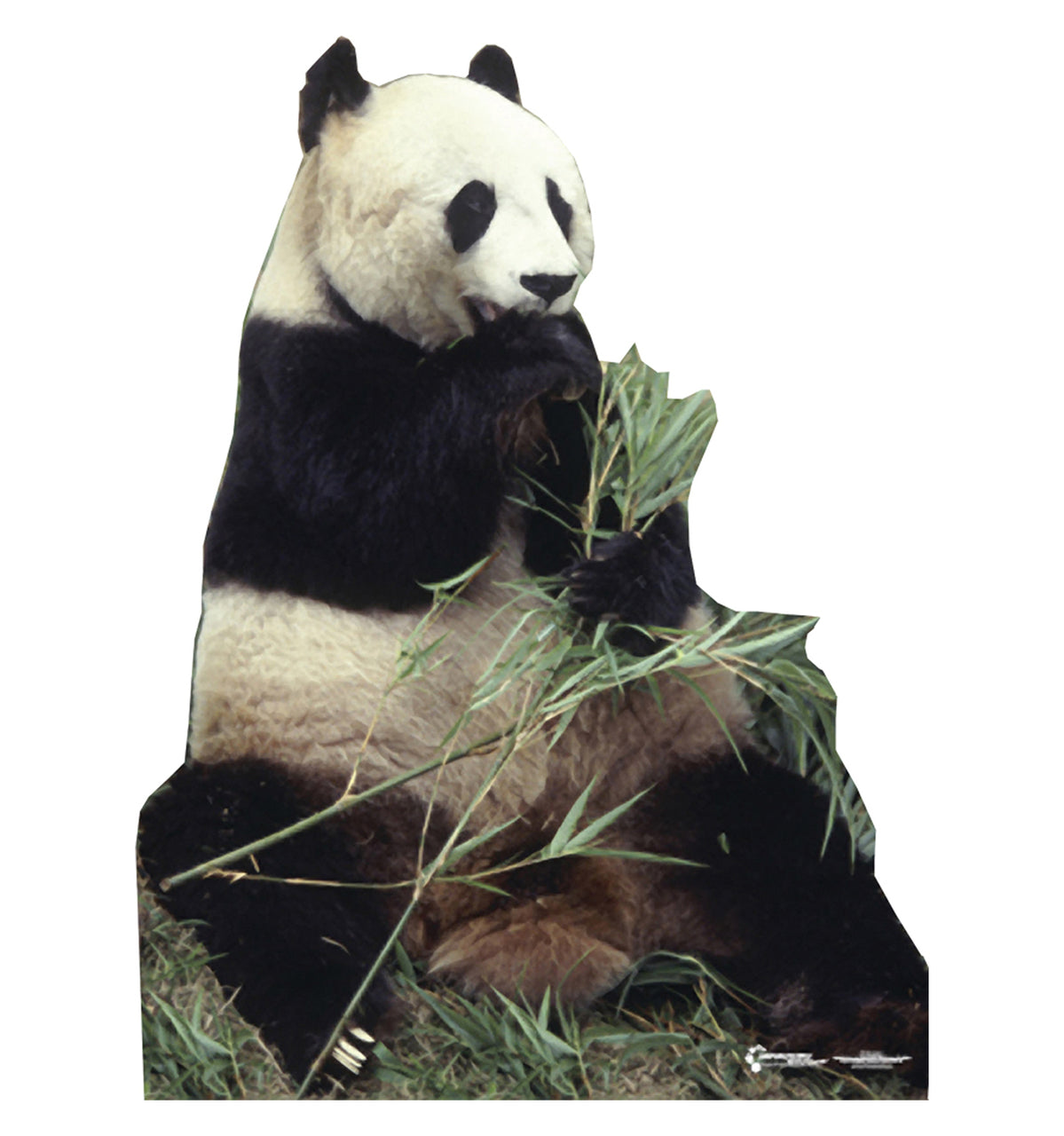 Life-size Panda Bear Cardboard Cutout
